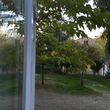 Camping Les Orangers San-Martino-di-Lota الغرفة الصورة