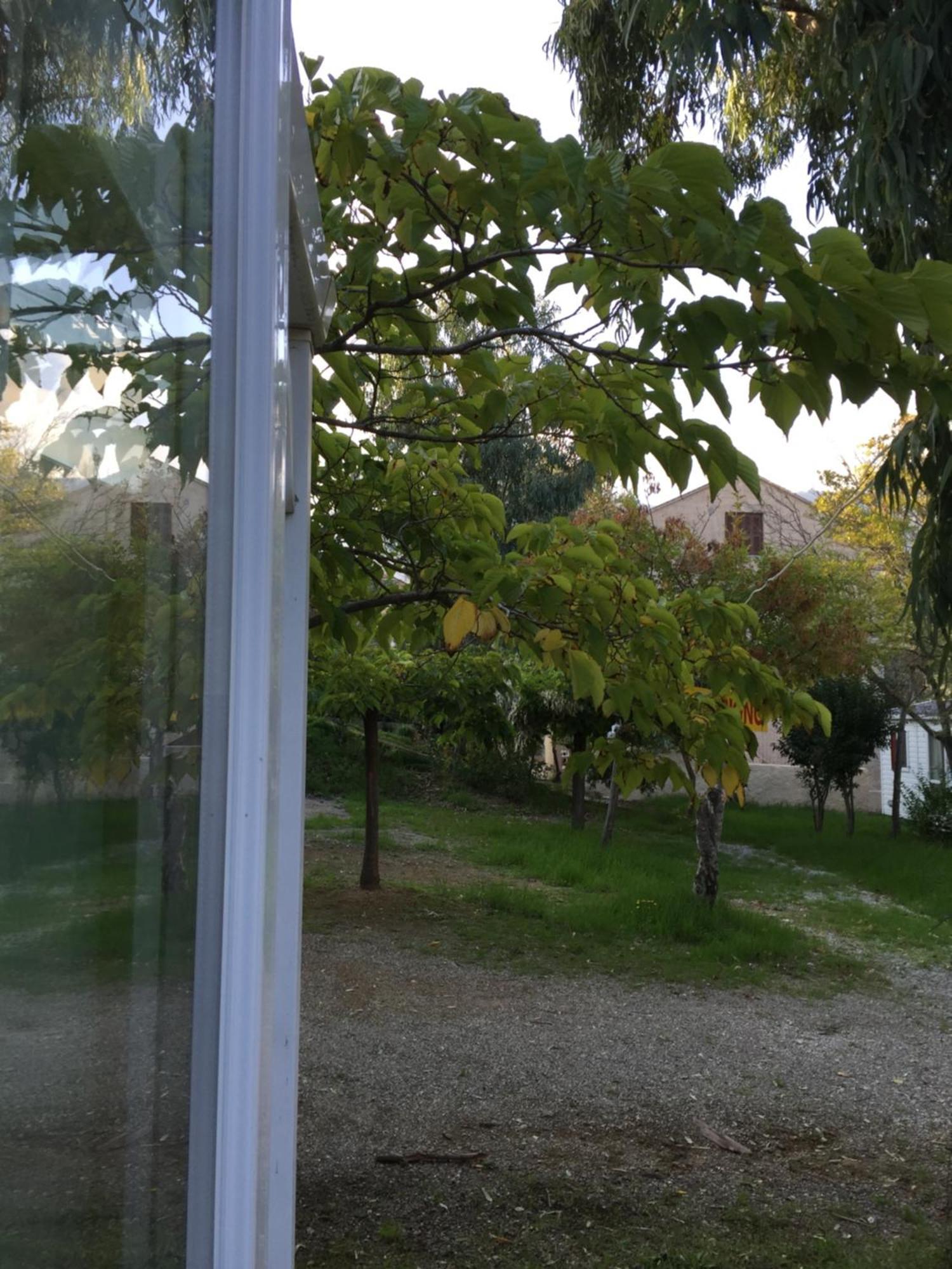 Camping Les Orangers San-Martino-di-Lota الغرفة الصورة