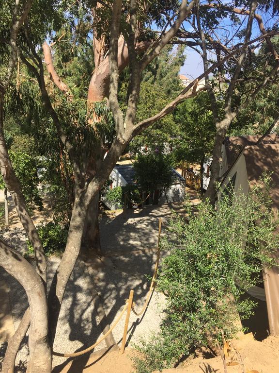 Camping Les Orangers San-Martino-di-Lota المظهر الخارجي الصورة