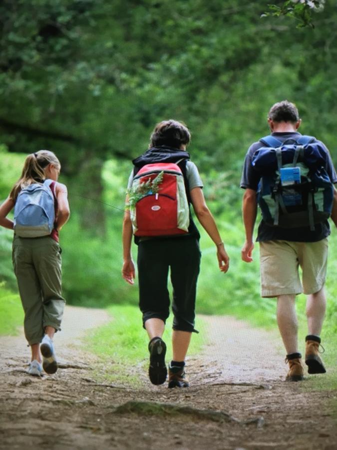 Camping Les Orangers San-Martino-di-Lota المظهر الخارجي الصورة