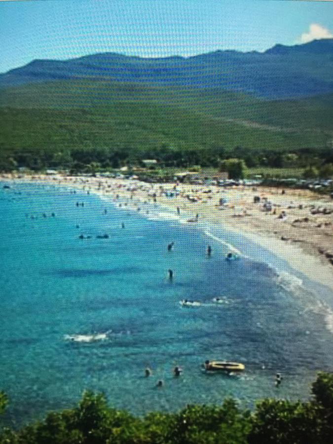 Camping Les Orangers San-Martino-di-Lota المظهر الخارجي الصورة