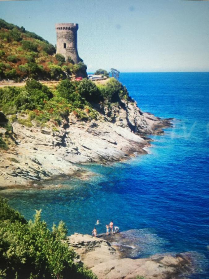 Camping Les Orangers San-Martino-di-Lota المظهر الخارجي الصورة